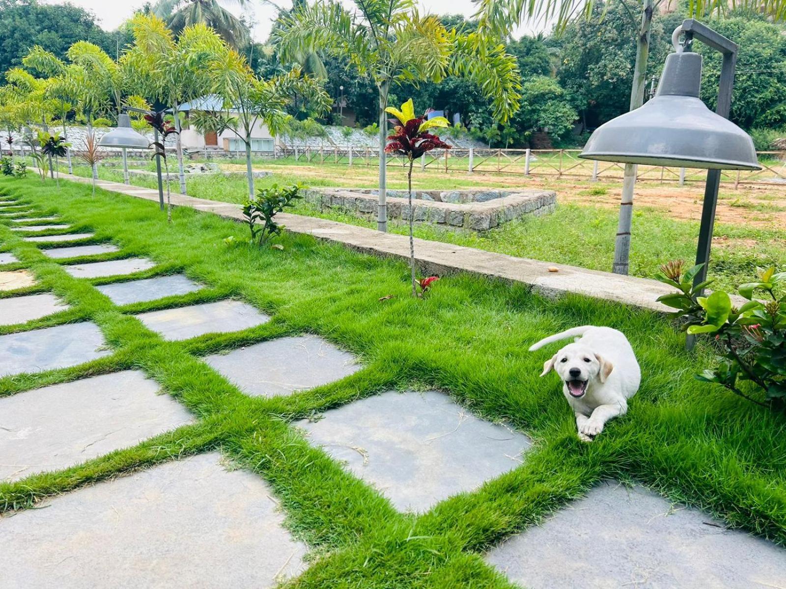 Hampi Village Resort & Tutti Cafe Kültér fotó