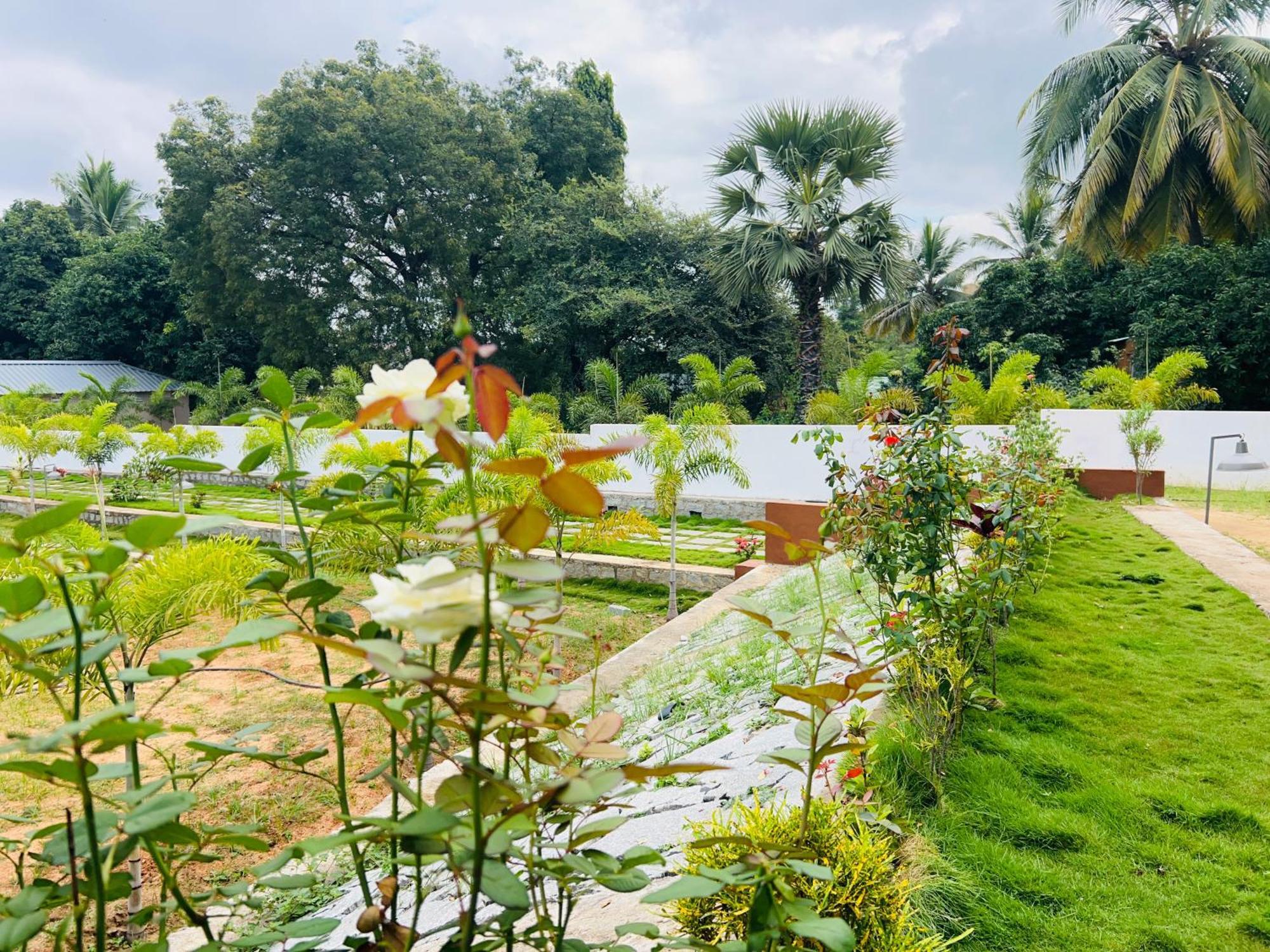 Hampi Village Resort & Tutti Cafe Kültér fotó